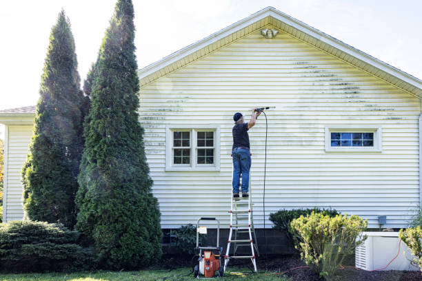 Best Commercial Building Pressure Washing  in Sour Lake, TX