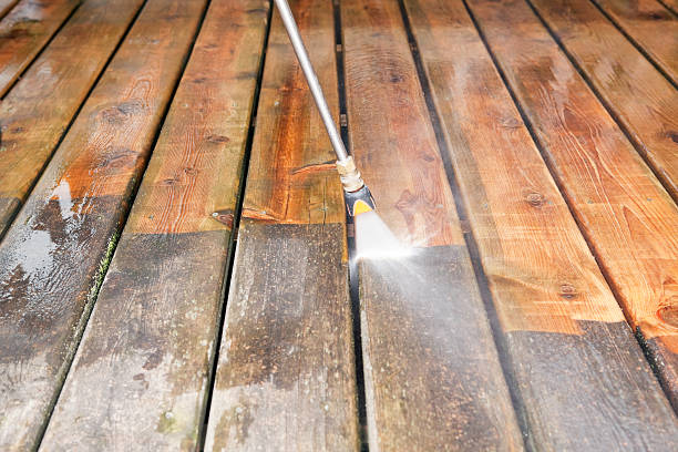 Best Roof Pressure Washing  in Sour Lake, TX